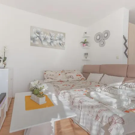 Apartment Modern Center