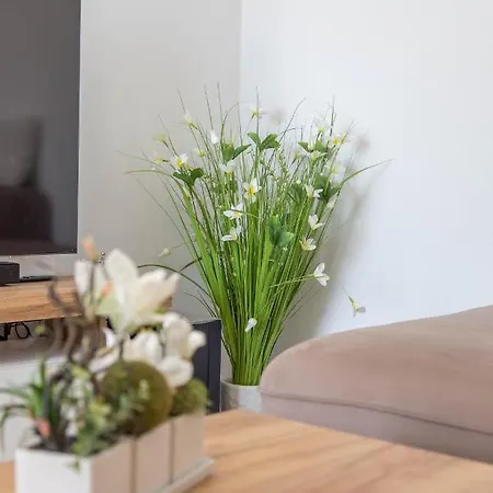 Apartment Modern Center